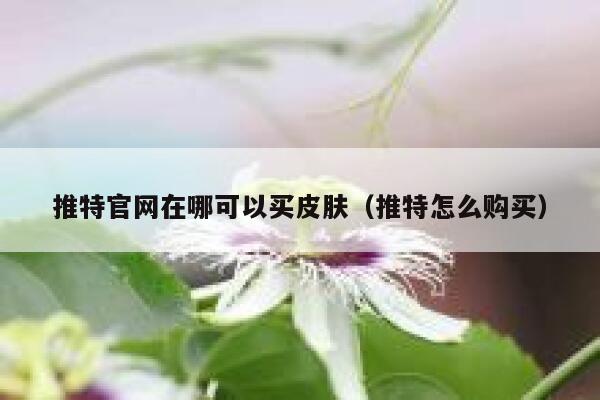 推特官网在哪可以买皮肤(推特怎么购买) 第1张 推特官网在哪可以买皮肤(推特怎么购买) 第1张