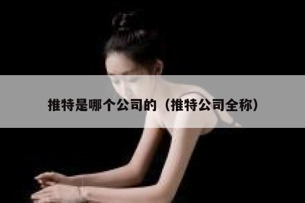 推特是哪个公司的（推特公司全称） 第1张