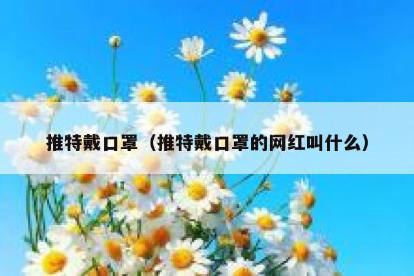 推特戴口罩（推特戴口罩的网红叫什么） 第1张