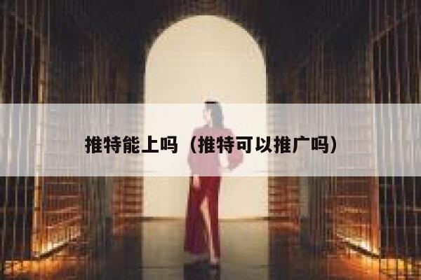 推特能上吗（推特可以推广吗） 第1张