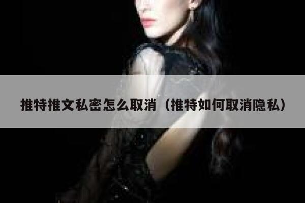 推特推文私密怎么取消(推特如何取消隐私) 第1张 推特推文私密怎么取消(推特如何取消隐私) 第1张