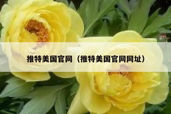 推特美国官网(推特美国官网网址) 第1张 推特美国官网(推特美国官网网址) 第1张