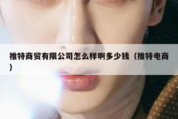 推特商贸有限公司怎么样啊多少钱（推特电商） 第1张