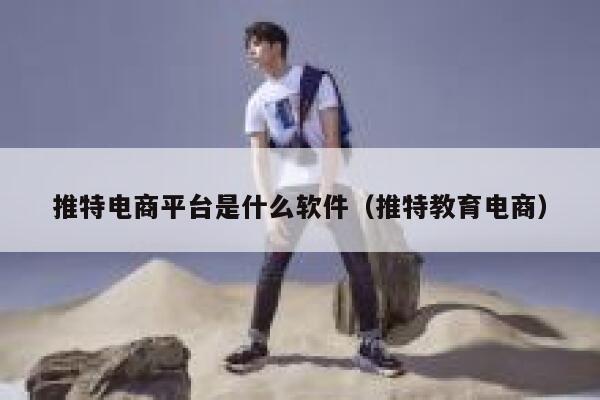 推特电商平台是什么软件（推特教育电商） 第1张