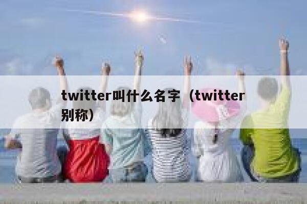 twitter叫什么名字（twitter别称） 第1张