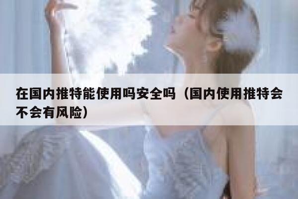 在国内推特能使用吗安全吗（国内使用推特会不会有风险） 第1张