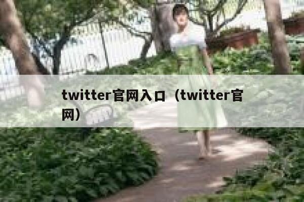 twitter官网入口（twitter官网） 第1张