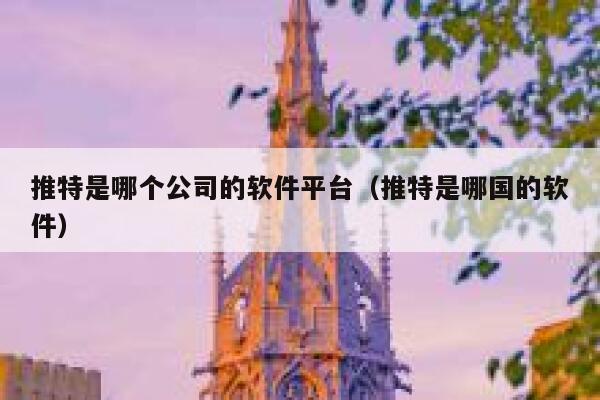 推特是哪个公司的软件平台（推特是哪国的软件） 第1张