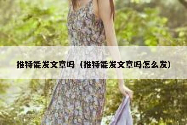 推特能发文章吗（推特能发文章吗怎么发） 第1张