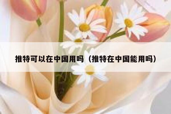 推特可以在中国用吗（推特在中国能用吗） 第1张