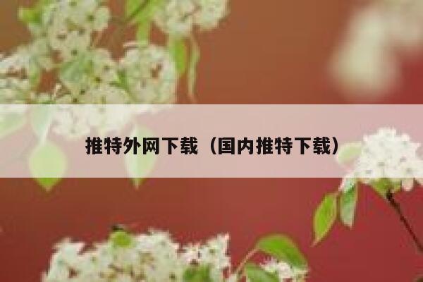 推特外网下载（国内推特下载） 第1张