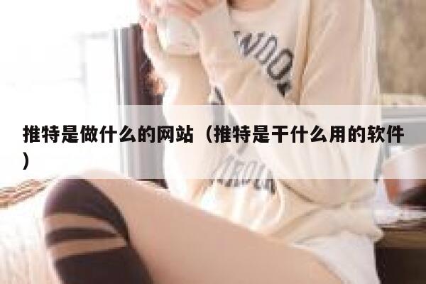 推特是做什么的网站（推特是干什么用的软件） 第1张