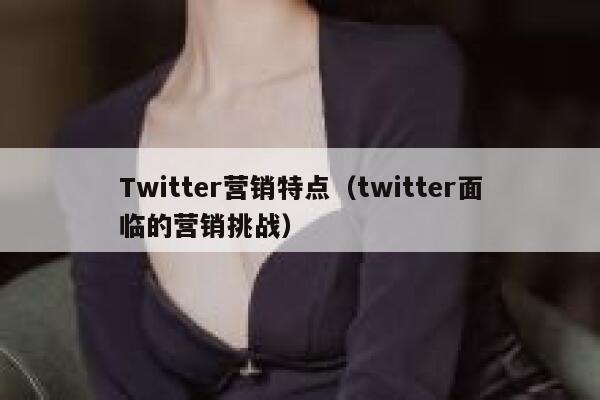 Twitter营销特点（twitter面临的营销挑战） 第1张