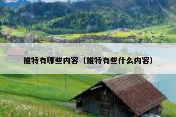 推特有哪些内容（推特有些什么内容） 第1张