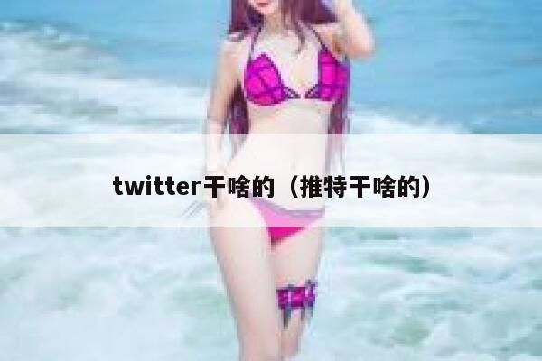 twitter干啥的（推特干啥的） 第1张