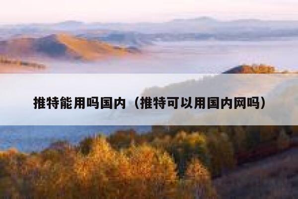推特能用吗国内（推特可以用国内网吗） 第1张
