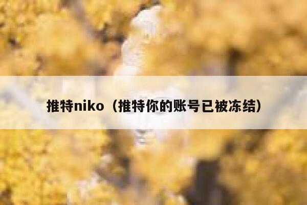 推特niko（推特你的账号已被冻结） 第1张