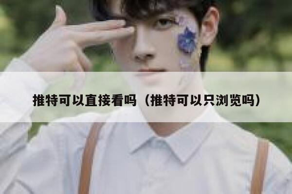 推特可以直接看吗（推特可以只浏览吗） 第1张