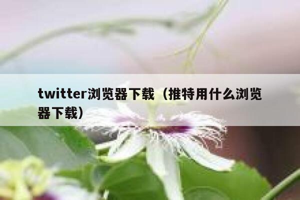twitter浏览器下载（推特用什么浏览器下载） 第1张