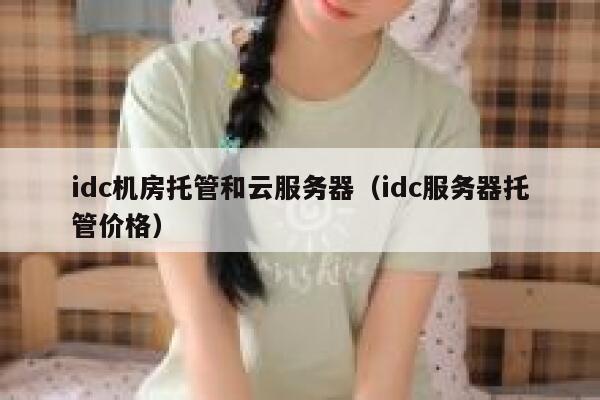 idc机房托管和云服务器（idc服务器托管价格） 第1张
