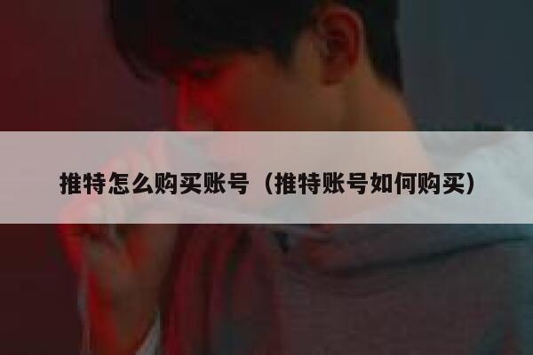 推特怎么购买账号（推特账号如何购买） 第1张