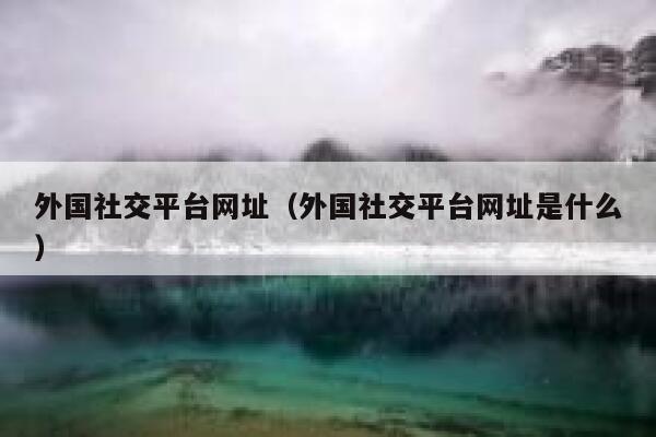 外国社交平台网址（外国社交平台网址是什么） 第1张