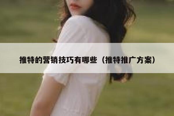 推特的营销技巧有哪些(推特推广方案) 第1张 推特的营销技巧有哪些(推特推广方案) 第1张
