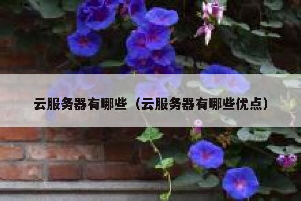云服务器有哪些(云服务器有哪些优点) 第1张 云服务器有哪些(云服务器有哪些优点) 第1张