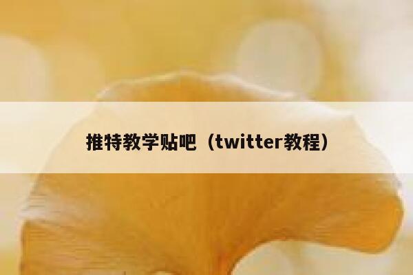 推特教学贴吧(twitter教程) 第1张 推特教学贴吧(twitter教程) 第1张