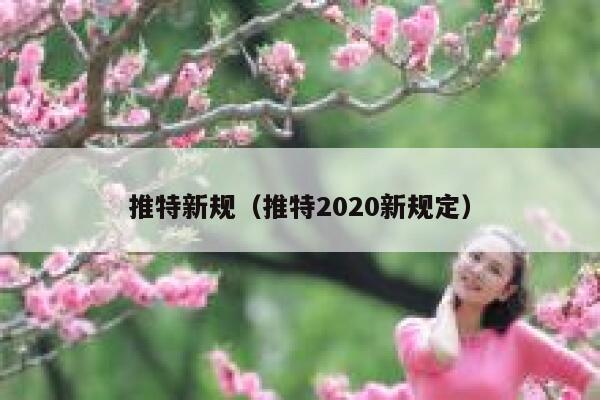 推特新规(推特2020新规定) 第1张 推特新规(推特2020新规定) 第1张