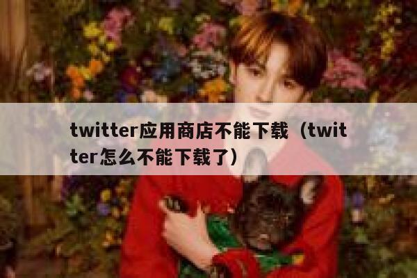 twitter应用商店不能下载（twitter怎么不能下载了） 第1张