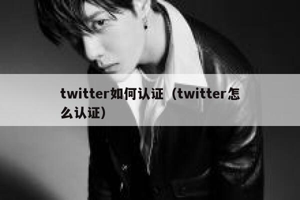 twitter如何认证（twitter怎么认证） 第1张