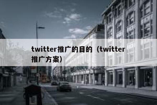 twitter推广的目的（twitter推广方案） 第1张
