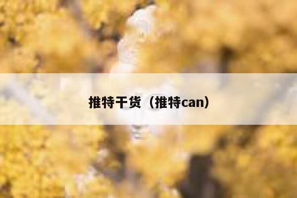 推特干货（推特can） 第1张
