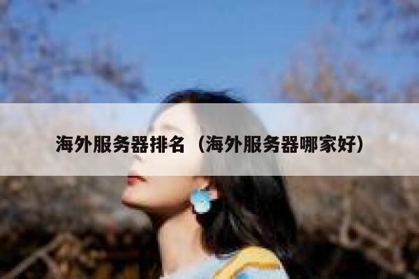 海外服务器排名（海外服务器哪家好） 第1张