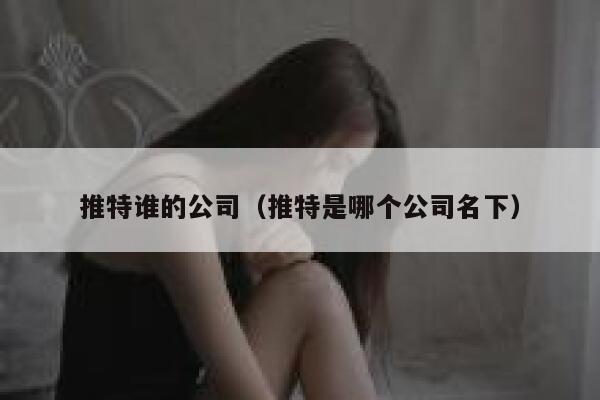 推特谁的公司（推特是哪个公司名下） 第1张