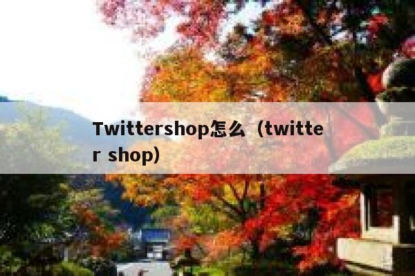 Twittershop怎么（twitter shop） 第1张
