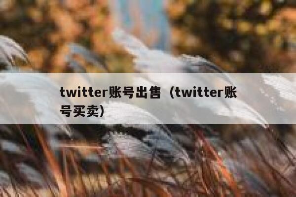 twitter账号出售（twitter账号买卖） 第1张