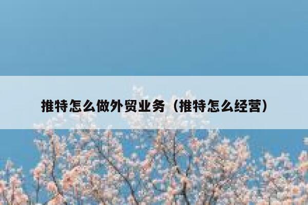 推特怎么做外贸业务（推特怎么经营） 第1张