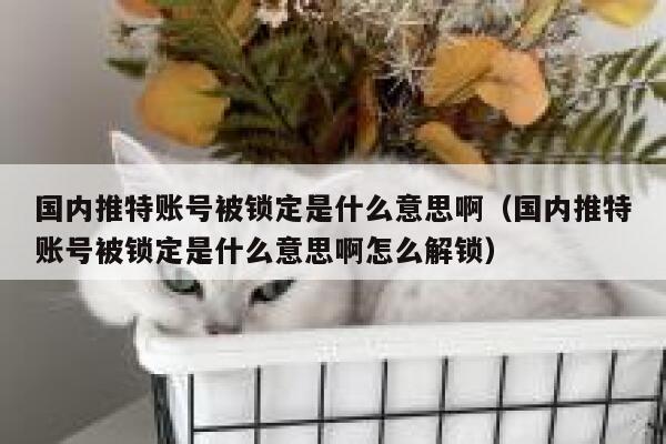 国内推特账号被锁定是什么意思啊（国内推特账号被锁定是什么意思啊怎么解锁） 第1张
