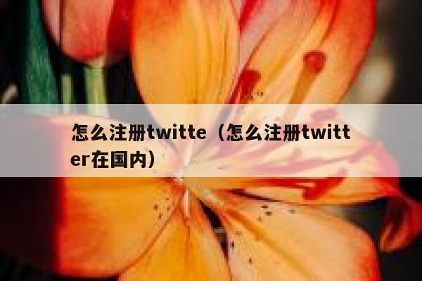 怎么注册twitte(怎么注册twitter在国内) 第1张 怎么注册twitte(怎么注册twitter在国内) 第1张