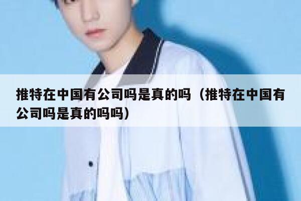 推特在中国有公司吗是真的吗(推特在中国有公司吗是真的吗吗) 第1张 推特在中国有公司吗是真的吗(推特在中国有公司吗是真的吗吗) 第1张