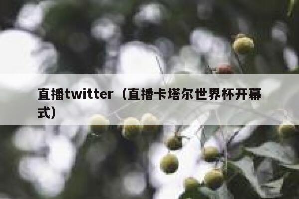 直播twitter（直播卡塔尔世界杯开幕式） 第1张