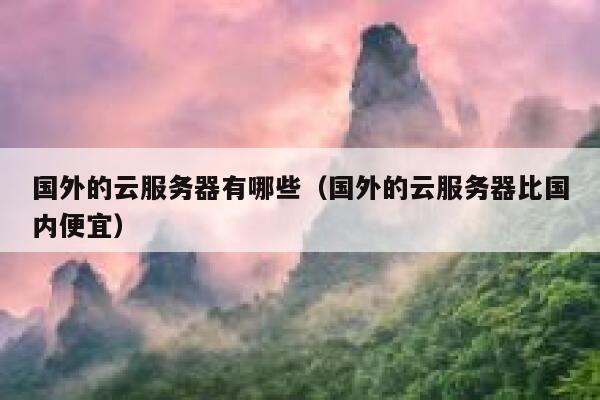 国外的云服务器有哪些(国外的云服务器比国内便宜) 第1张 国外的云服务器有哪些(国外的云服务器比国内便宜) 第1张