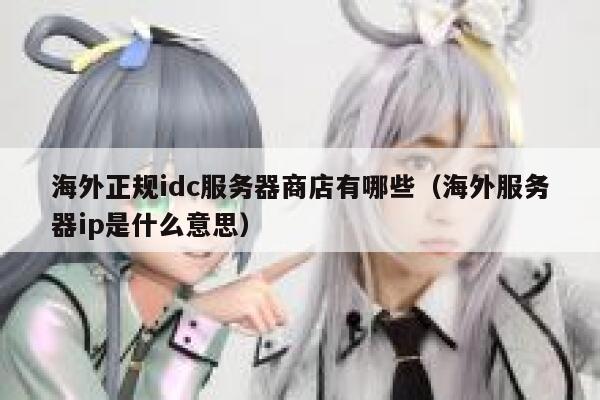 海外正规idc服务器商店有哪些（海外服务器ip是什么意思） 第1张
