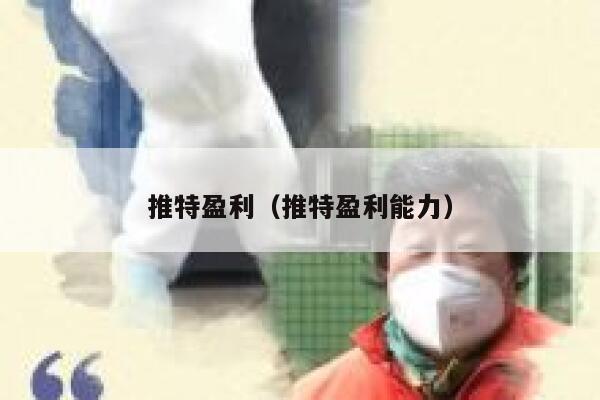 推特盈利（推特盈利能力） 第1张