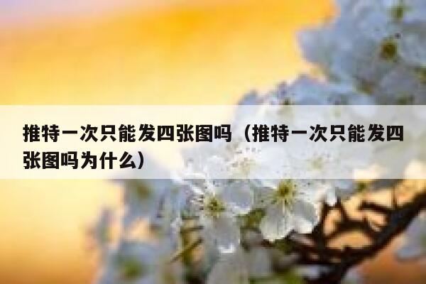 推特一次只能发四张图吗（推特一次只能发四张图吗为什么） 第1张