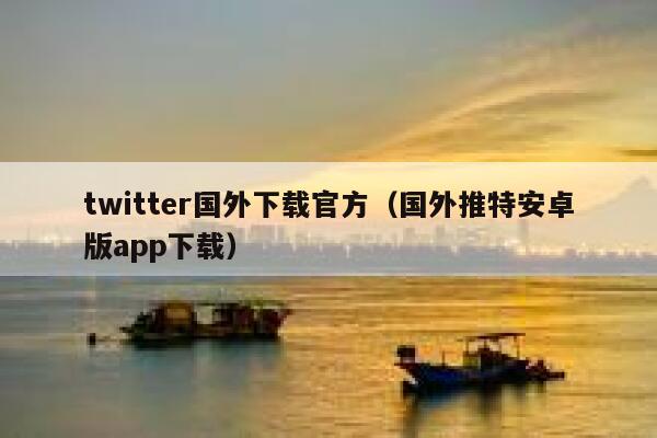 twitter国外下载官方（国外推特安卓版app下载） 第1张