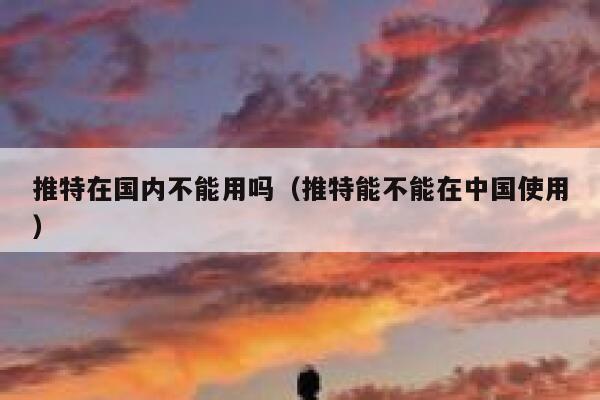 推特在国内不能用吗（推特能不能在中国使用） 第1张