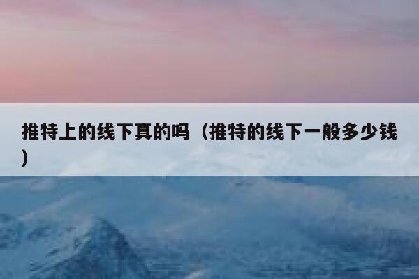 推特上的线下真的吗（推特的线下一般多少钱） 第1张